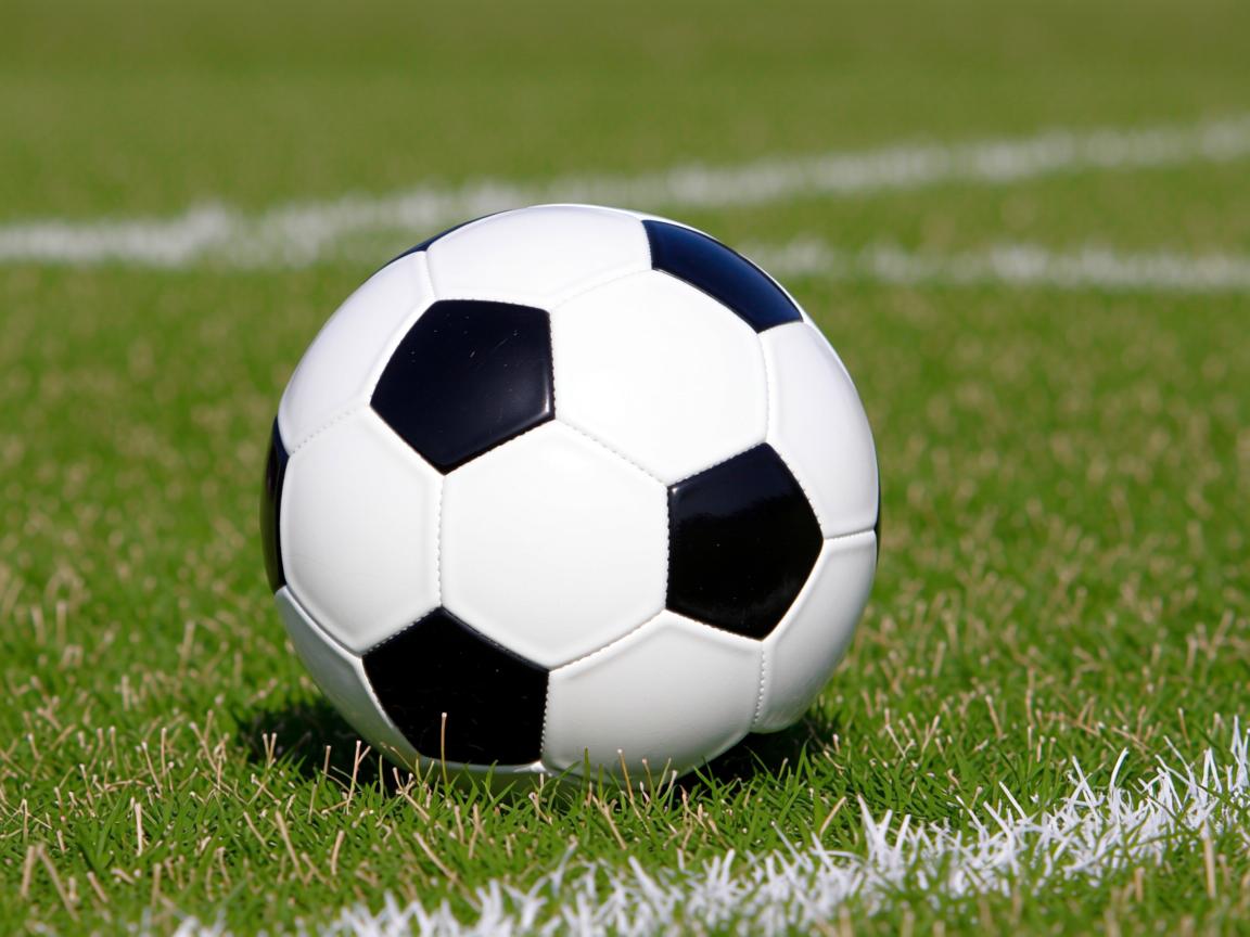 开云app-2023年乒乓球公开赛精彩回顾,赛场瞬间难忘,2023年乒乓球比赛 第2张